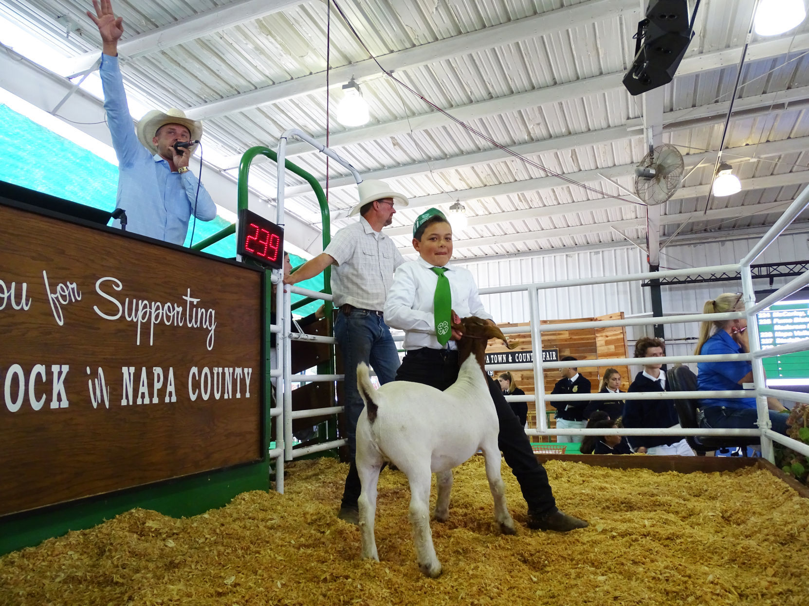 Junior Livestock Auction 2019